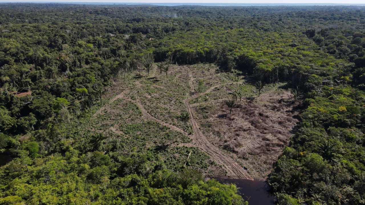 En la Amazonía surge un nuevo clima En la Amazonía surge un nuevo clima