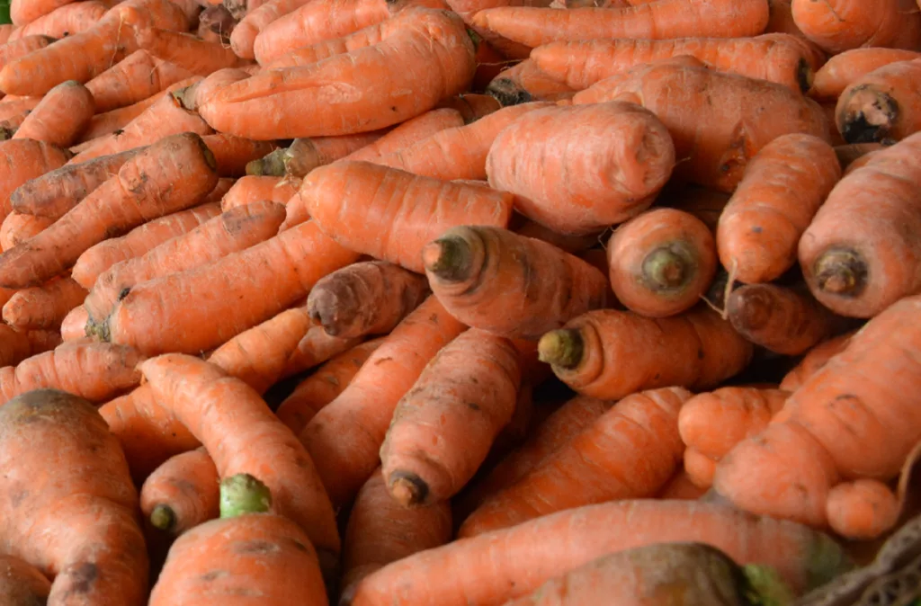 Altos costos de insumos perjudica producción de hortalizas en el país