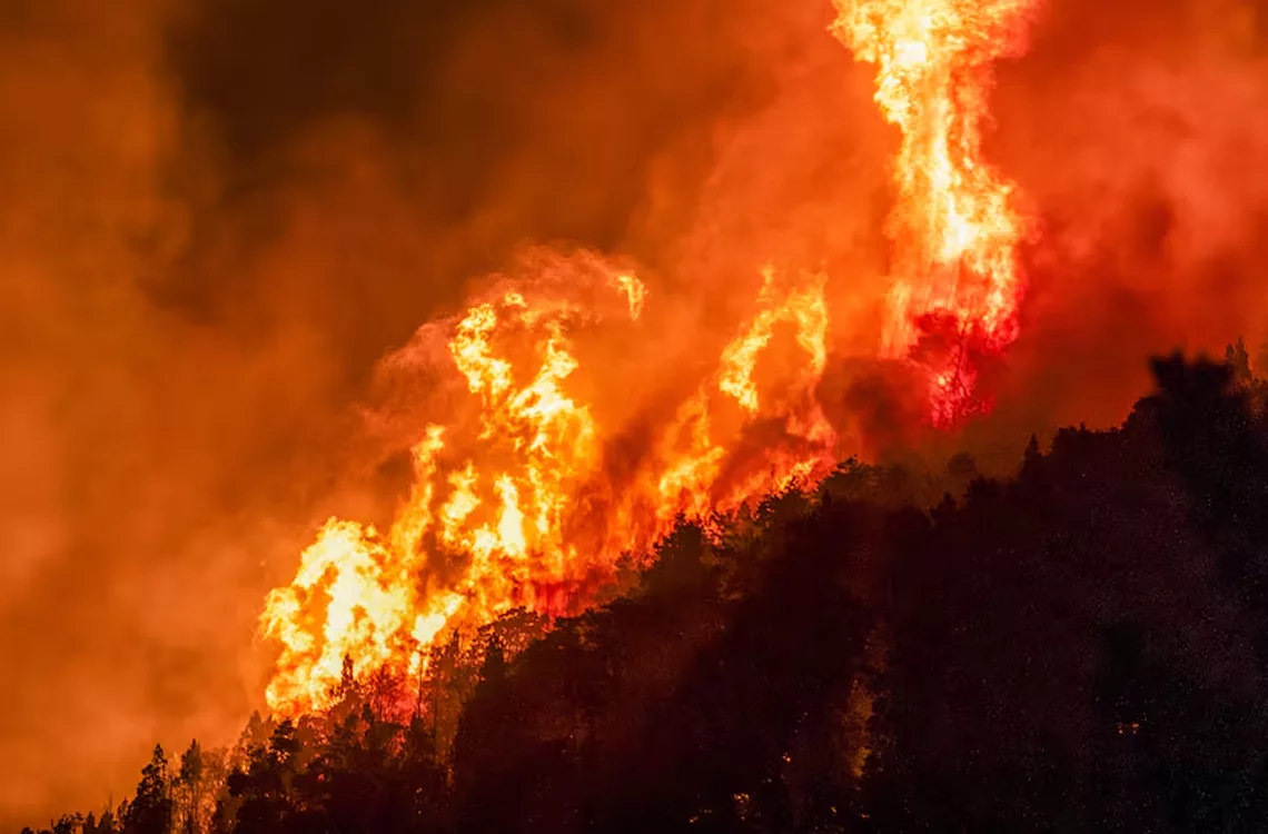 Más de 4.000 hectáreas incendios forestales en la Patagonia argentina hectáreas destruidas y miles de evacuados por incendios forestales en la Patagonia argentina