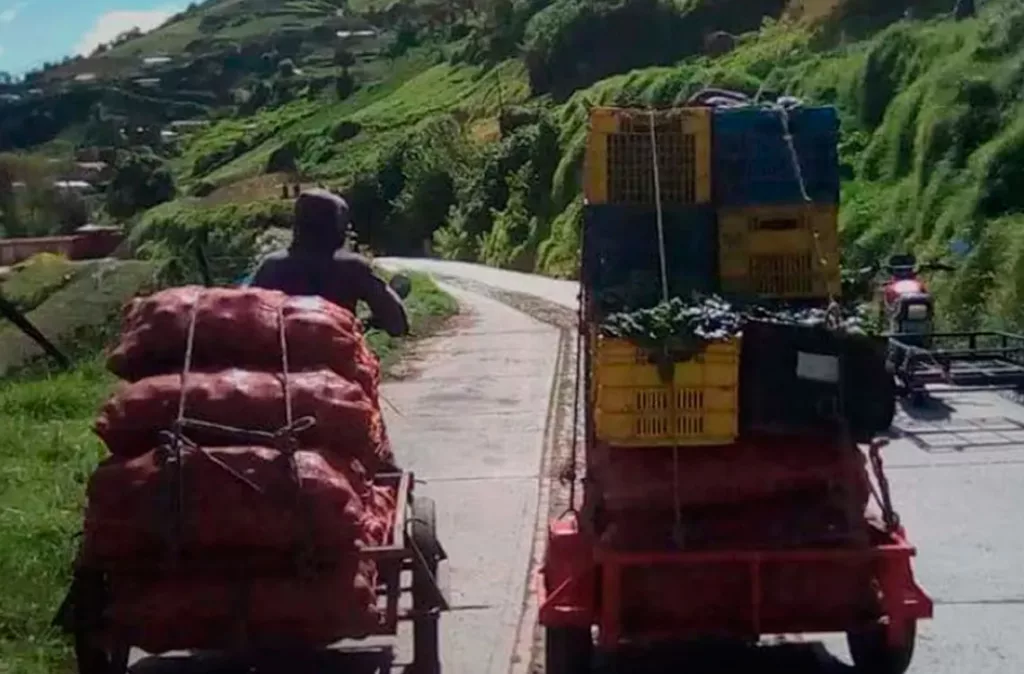 Productores de Siquisique denuncian riesgo de cosecha debido a falta de gasoil