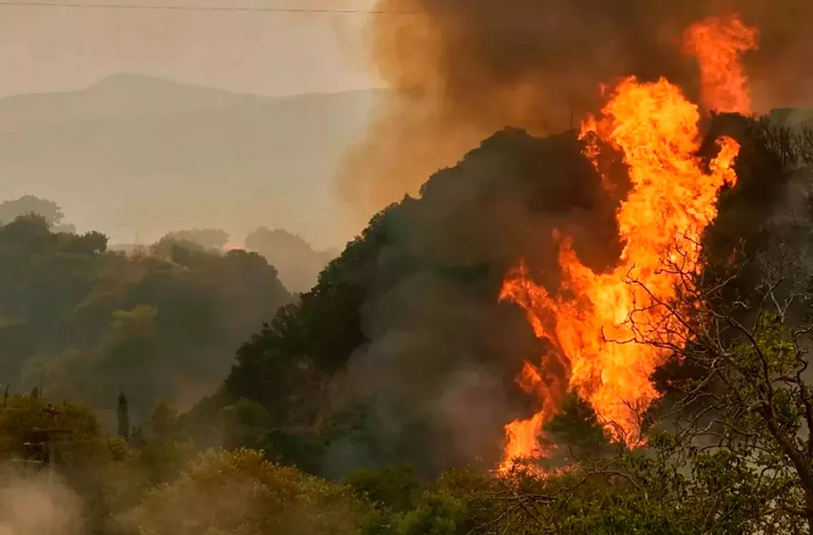 Bosques de Morán, Andrés Eloy Blanco y Torres, registran mayor número de incendios desde 2024