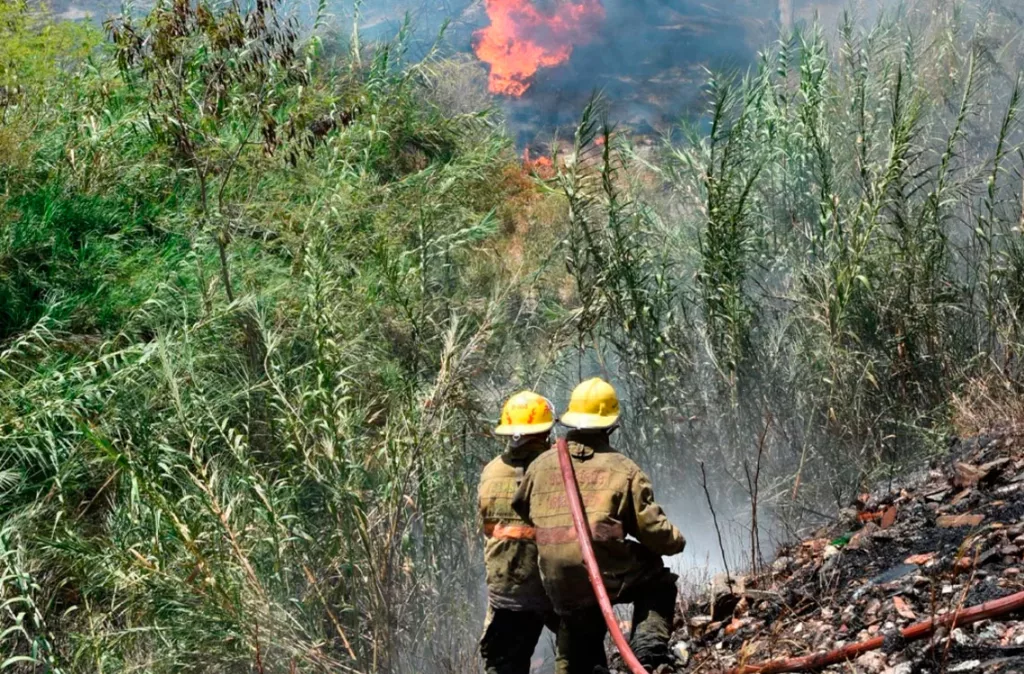 Bosques de Morán, Andrés Eloy Blanco y Torres, registran mayor número de incendios desde 2024