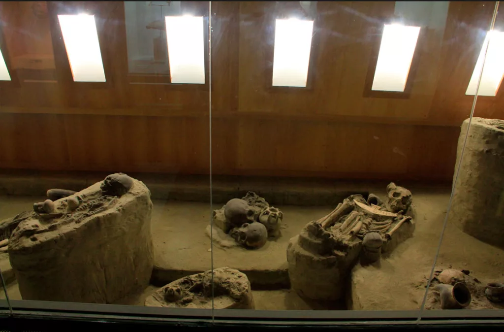 Museo Antropológico de Quíbor busca alianzas con universidades para su proyecto de digitalización