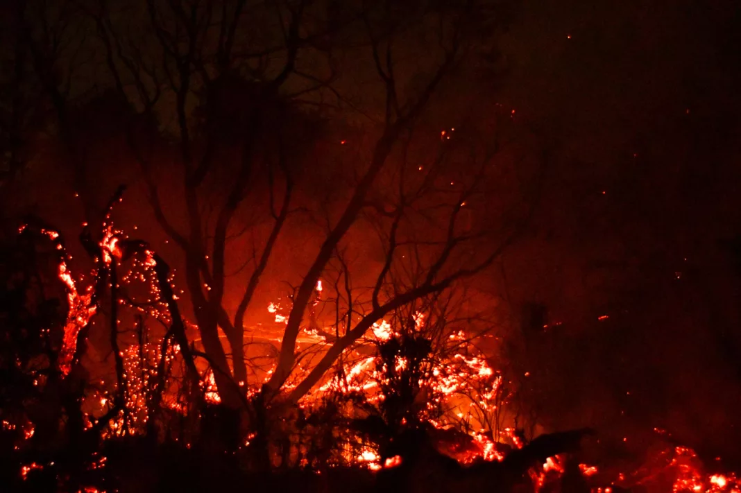 Argentina enfrenta una emergencia forestal sin precedentes por incendios en la Patagonia