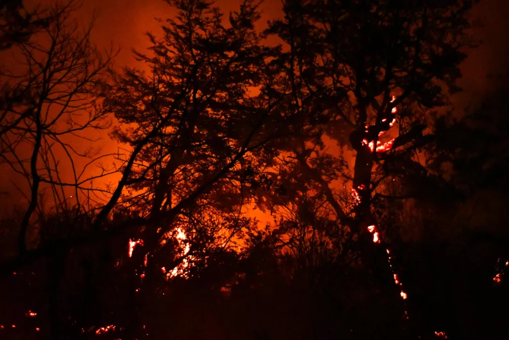 Argentina enfrenta una emergencia forestal sin precedentes por incendios en la Patagonia