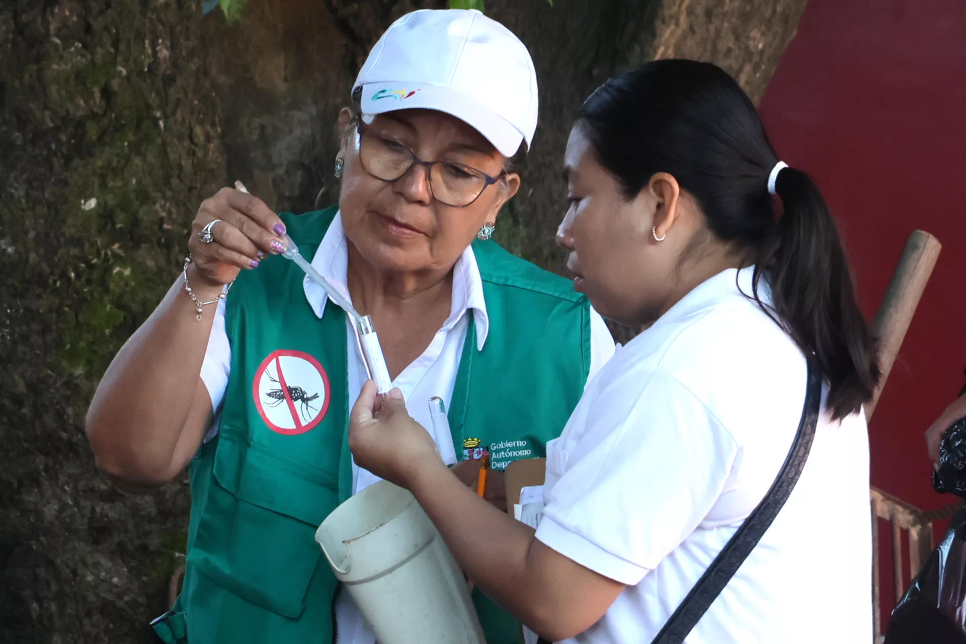 Emergencia sanitaria en Bolivia: 5 fallecidos por chikunguña y casi 4.000 casos registrados Emergencia sanitaria en Bolivia: 5 fallecidos por chikunguña y casi 4.000 casos registrados