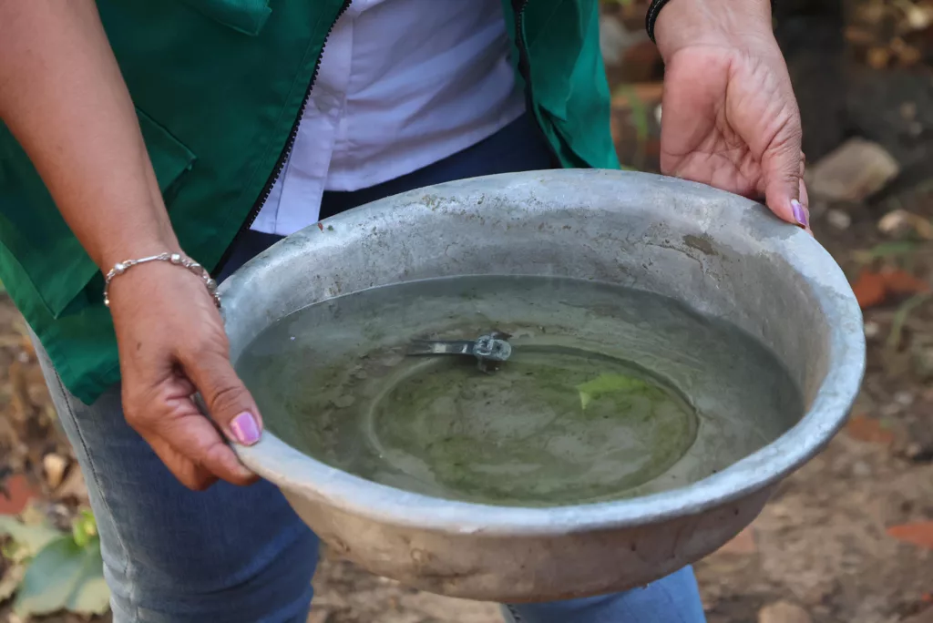 Emergencia sanitaria en Bolivia: 5 fallecidos por chikunguña y casi 4.000 casos registrados