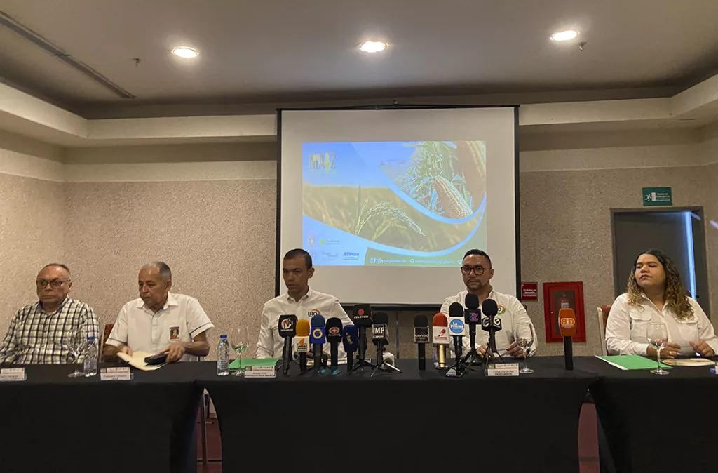 Producción de maíz y arroz en Venezuela se duplica y apunta a la exportación