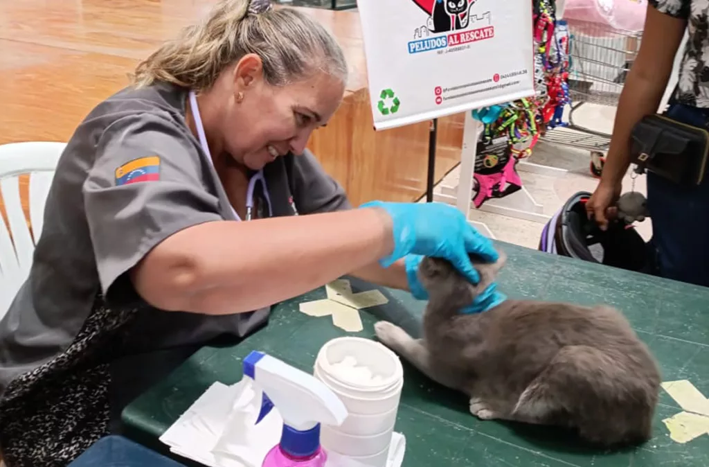 Rabia: virus 100% letal que se previene con vacunación