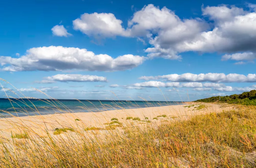 Un adolescente de Australia salvó a su familia nadando cuatro horas en mar abierto para buscar ayuda