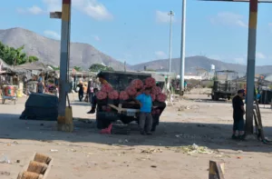 Agricultores de 6 estados perjudicados por contrabando de alimentos