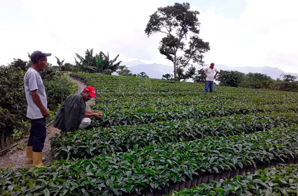 Agricultores de 6 estados perjudicados por contrabando de alimentos
