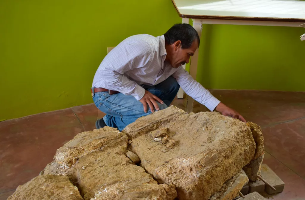 Espacios para todos en la cultura: Recintos deben fomentar la inclusión