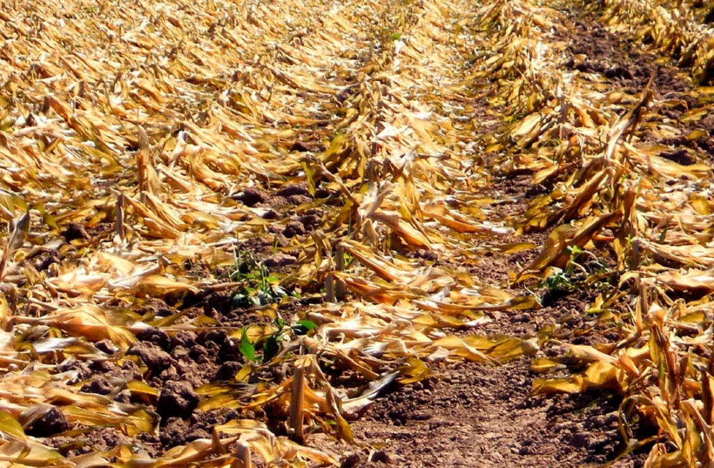 Venezuela registra un aumento de temperatura de 1.8 °C