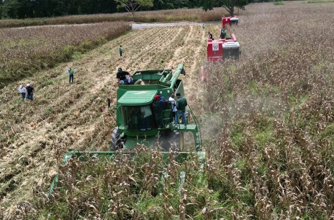 Venezuela registra un aumento de temperatura de 1.8 °C que impacta en la producción agrícola