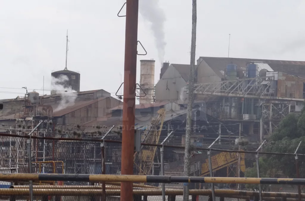 Central Azucarero Río Turbio estima moler 600 mil toneales de caña