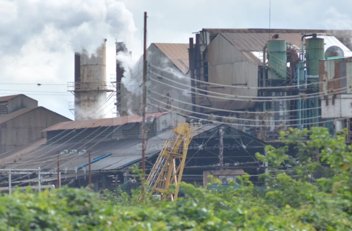 Central Azucarero Río Turbio estima moler 600 mil toneales de caña
