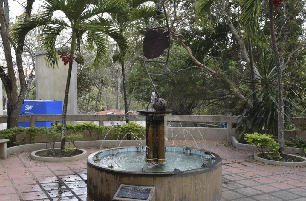 La cultura, un bastión de Ascardio que alimenta el espíritu