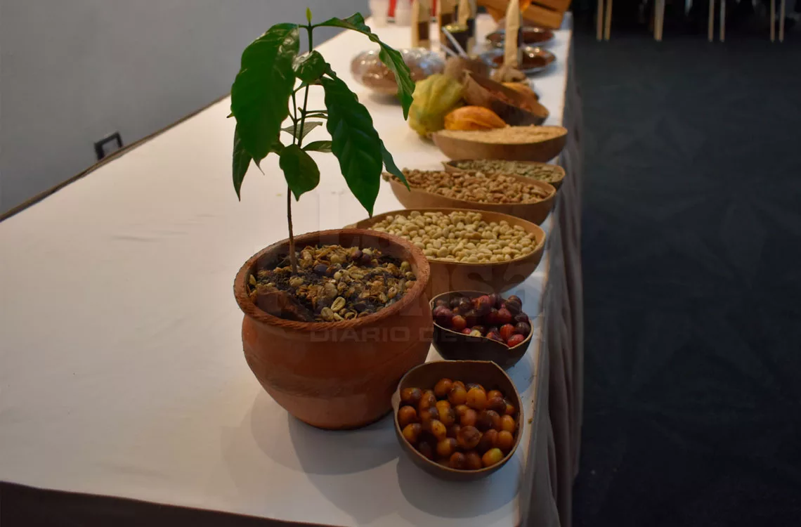 Café es el rubro más exportado del estado Lara