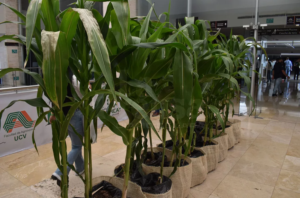 Fedeagro: Hay que pasar de resiliencia reactiva a productiva