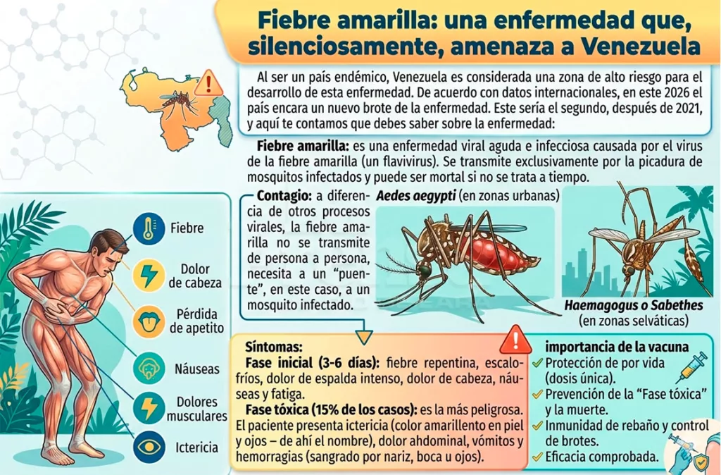 Fiebre amarilla, ¿por qué el país es una zona de riesgo?