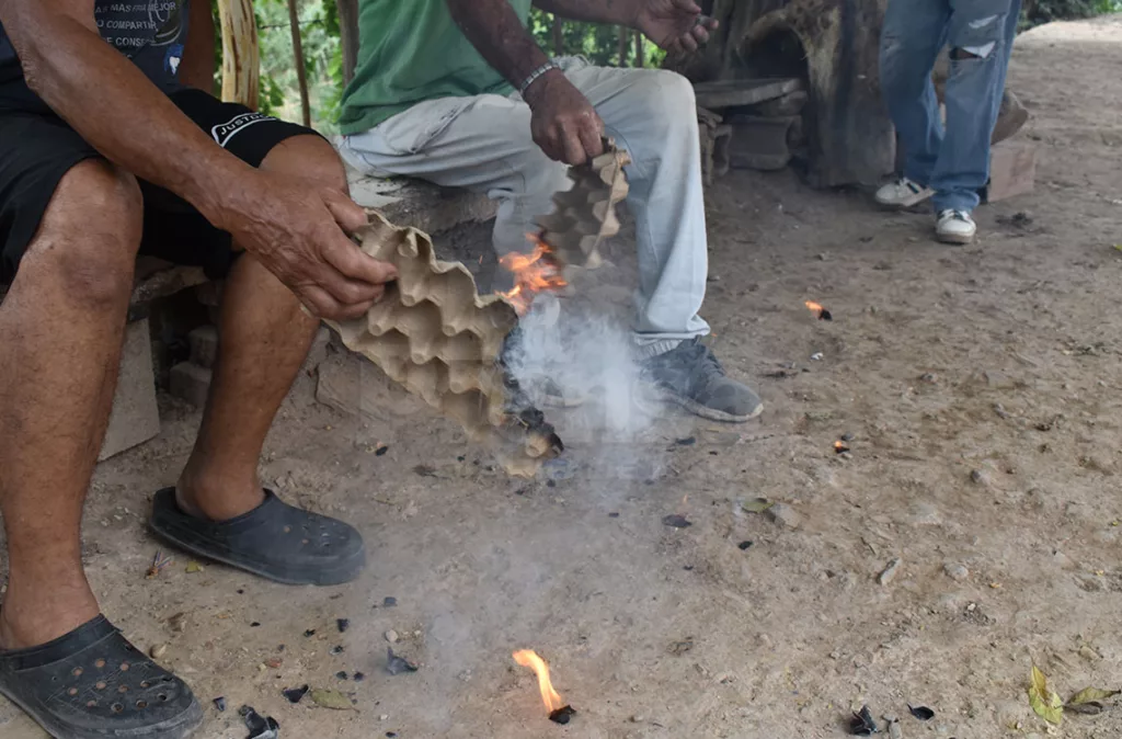 Falta de fumigación obliga a comunidades a usar métodos caseros