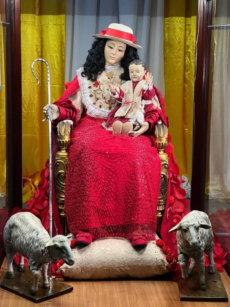 Vestida de fe: Conoce los trajes que llevó la Divina Pastora en esta visita 168