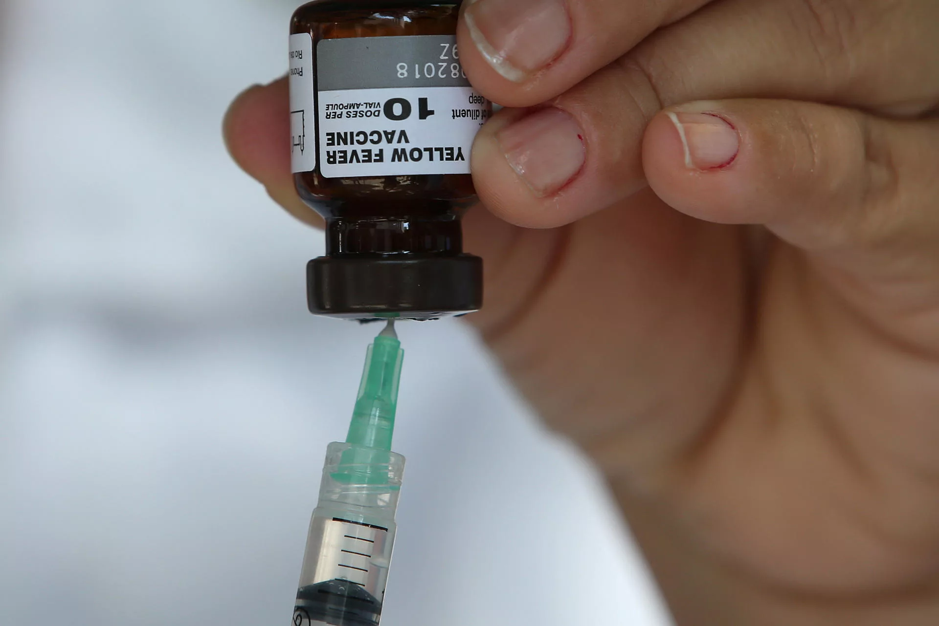 Médicos llaman a compartir información de la fiebre amarilla para no repetir la situación de la Covid-19