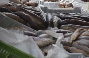 Comerciantes esperan aumentar en más del 30% las ventas de pescado durante asueto de Semana Santa