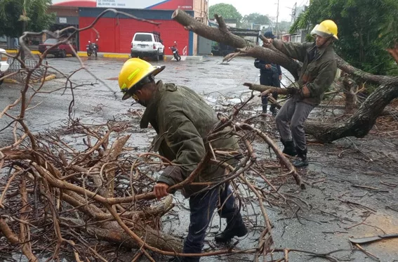Lluvias causan afectaciones en tres municipios de Lara