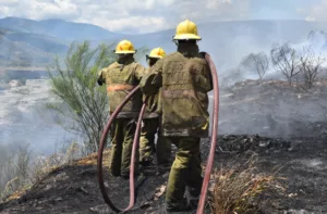 Más de 100 incendios forestales han devorado 3.000 hectáreas en un año