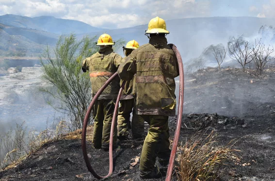 Más de 100 incendios forestales han devorado 3.000 hectáreas en un año