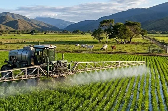 Productores proponen Ley de Desarrollo Agropecuario