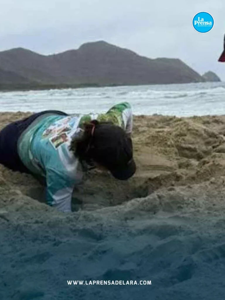 TORTUGA 2