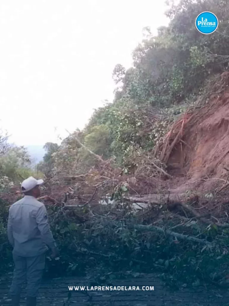 Lluvias en Torres y Morán 