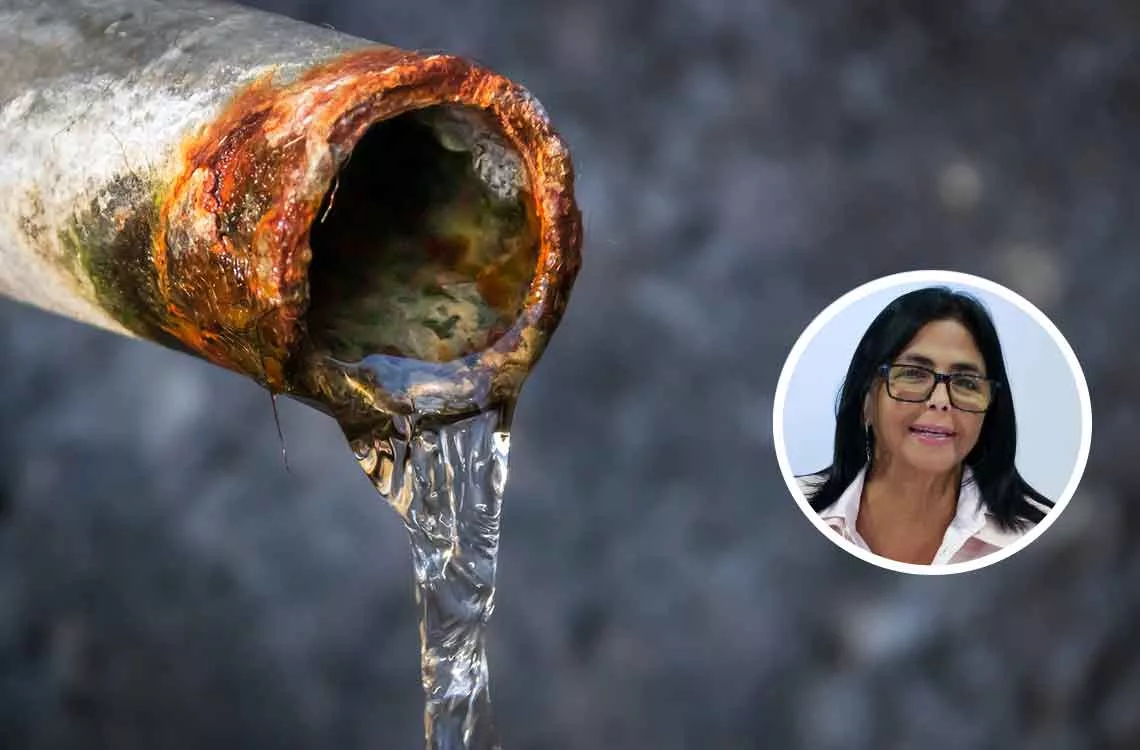 Delcy Rodríguez servicios públicos