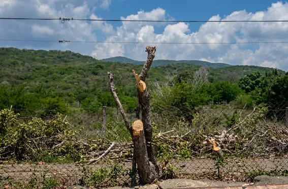 Comunidades en Palavecino se planta contra el plan 