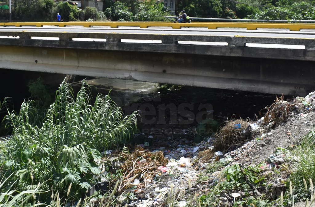 Harán abordaje: Cuatro puentes de Lara en estado crítico