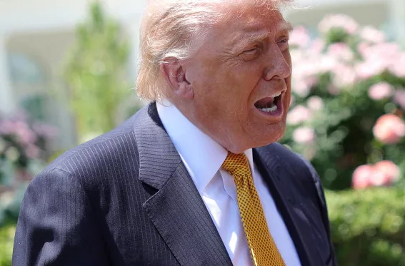 Trump aseguró que van a 