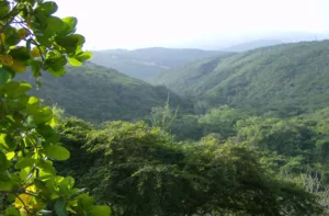 Proponen ampliar Parque Nacional Terepaima con 14 mil hectáreas