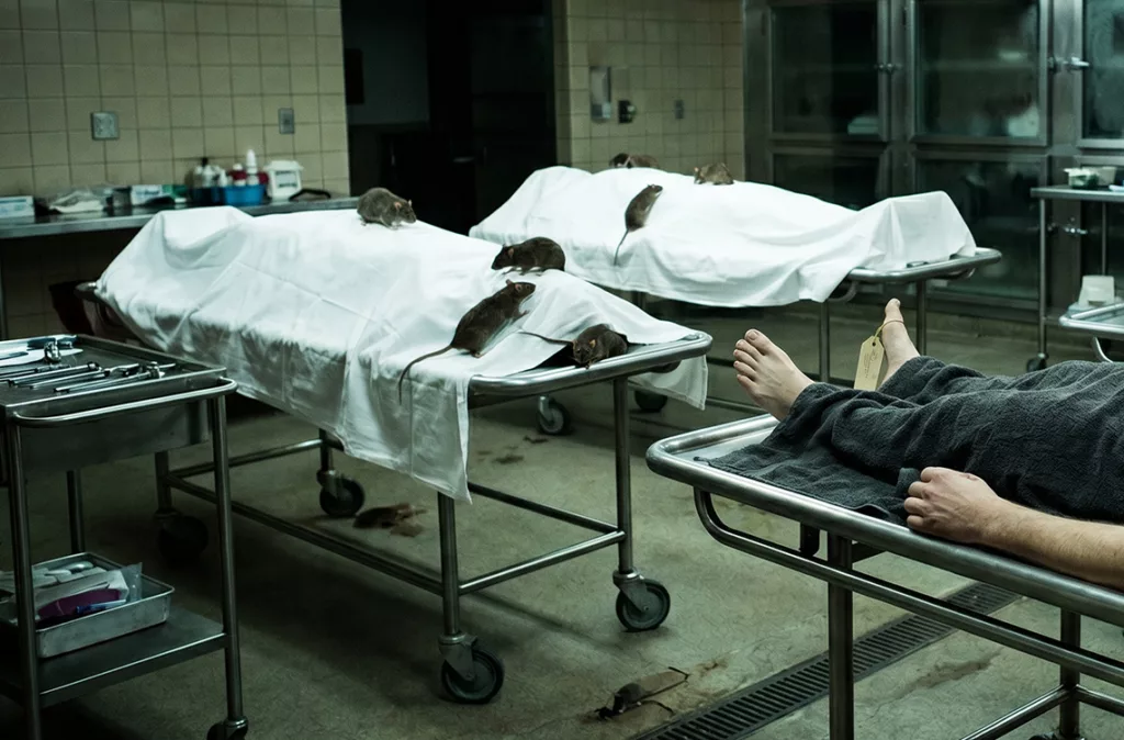 denuncian que roedores comen piel de cadáveres en el Hospital Central 3 Entre el duelo y el horror: denuncian que roedores comen piel de cadáveres en el Hospital Central