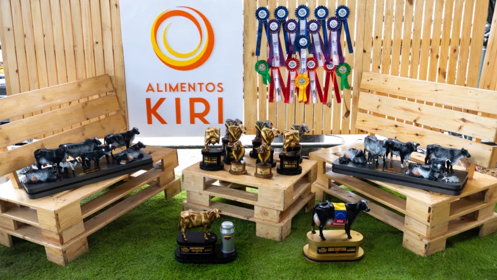 kiri 2