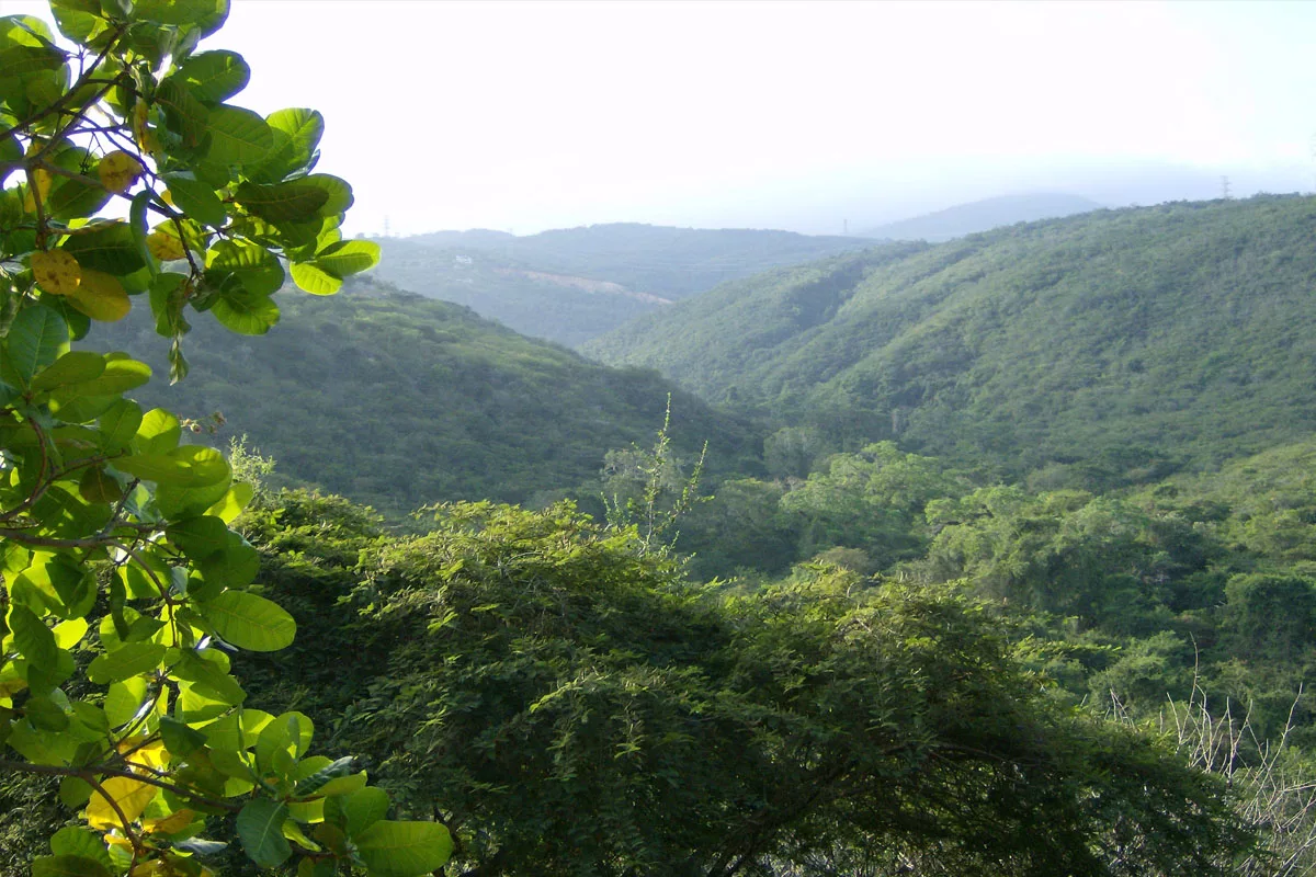 Parque Terepaima