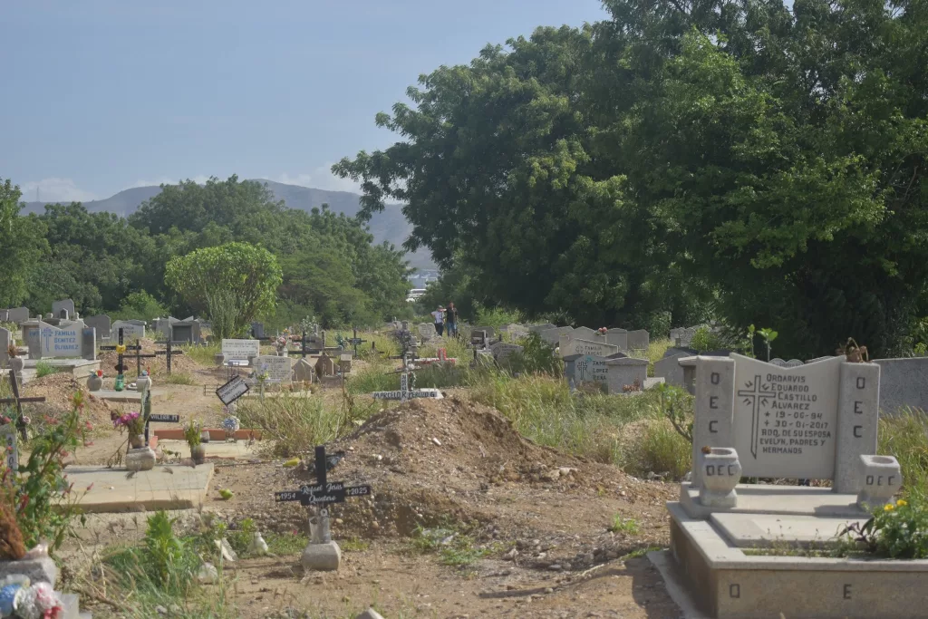 Cementerio Nuevo 29 05 26 VR 23