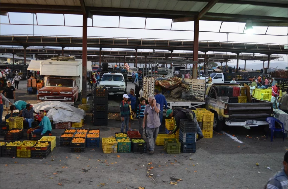 Agricultores están quebrados por el contrabando desde Colombia
