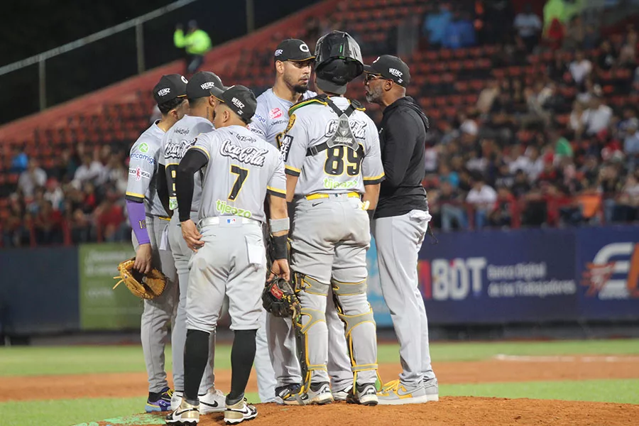 Leones Leones