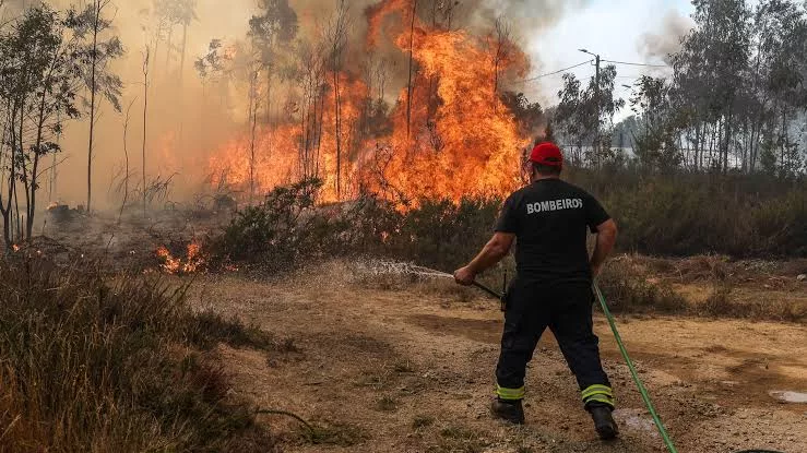 Incendio Portugal