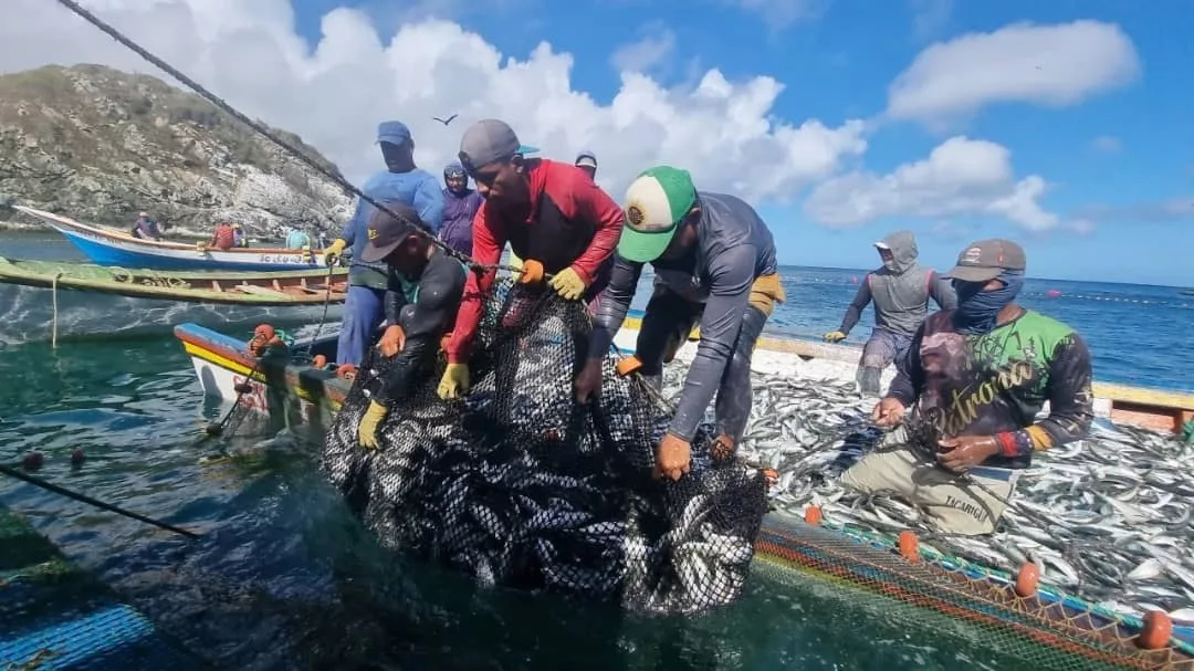 Pesca y acuicultura