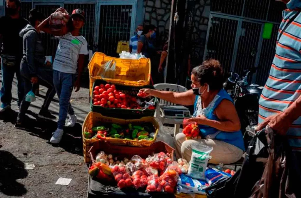 Hambre Fao