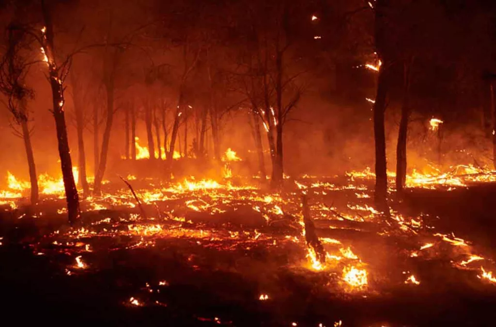 Incendios en Espana y Francia